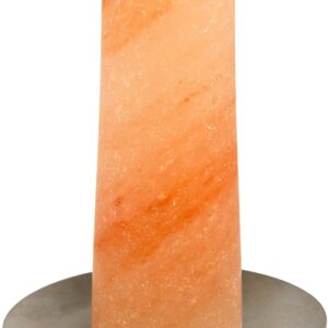 Himalayan Salt Poultry Cone with Holder